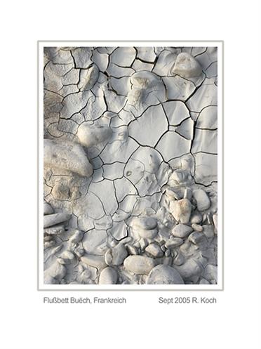 buech_trockenschlamm_geschaerftPICT0029