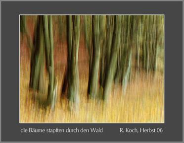 die_baeume_stapften_durch_den_waldPICT0157