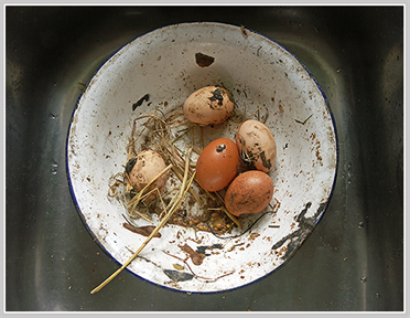 eierschuessel_pict0083