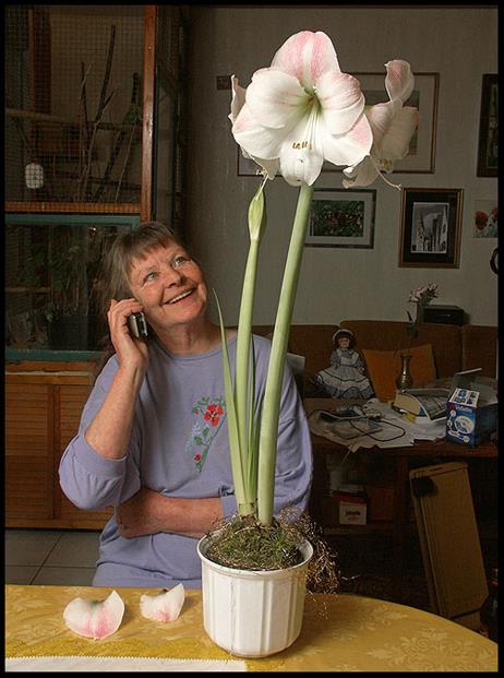 karen_und_amyrillispict0158