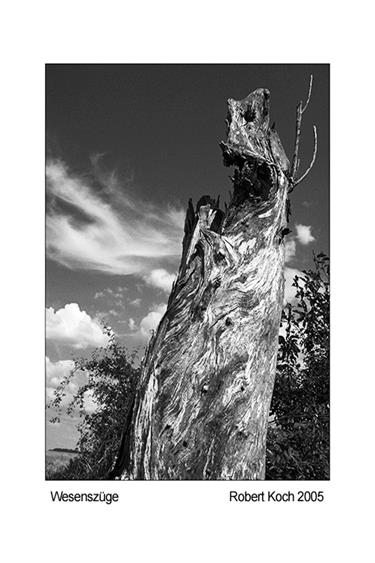 wesenszuege